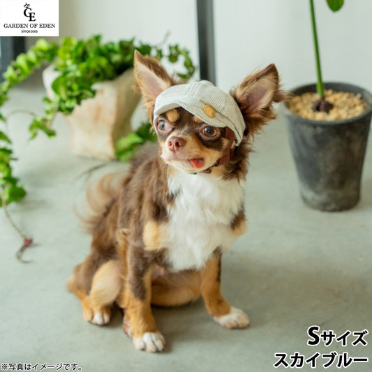 犬の帽子 ガーデンオブエデン オーガニックコットンキャスケット S スカイブルー