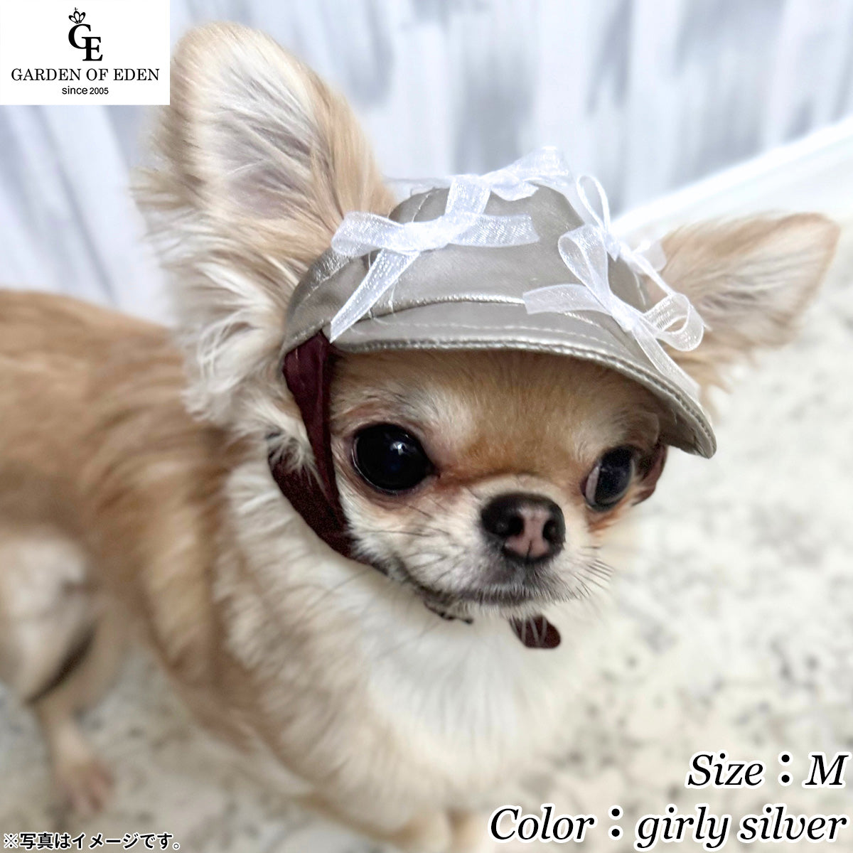犬の帽子 ガーデンオブエデン フェニックスパールキャップ M girly silver