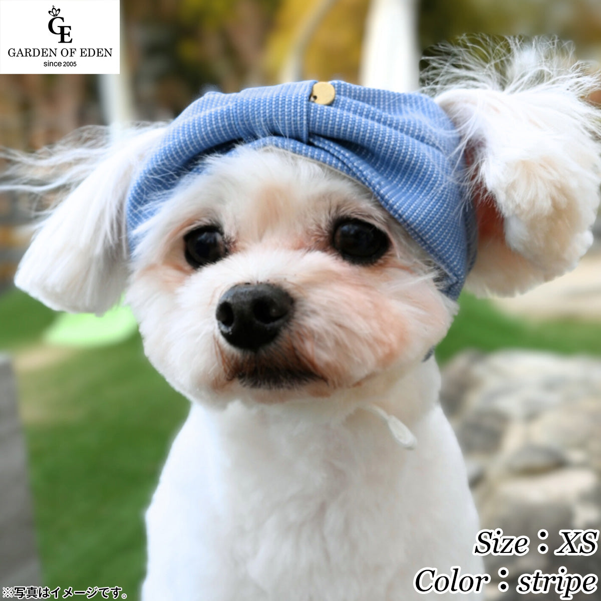 犬の帽子 ガーデンオブエデン ビックリボンヘアバンド XS stripe