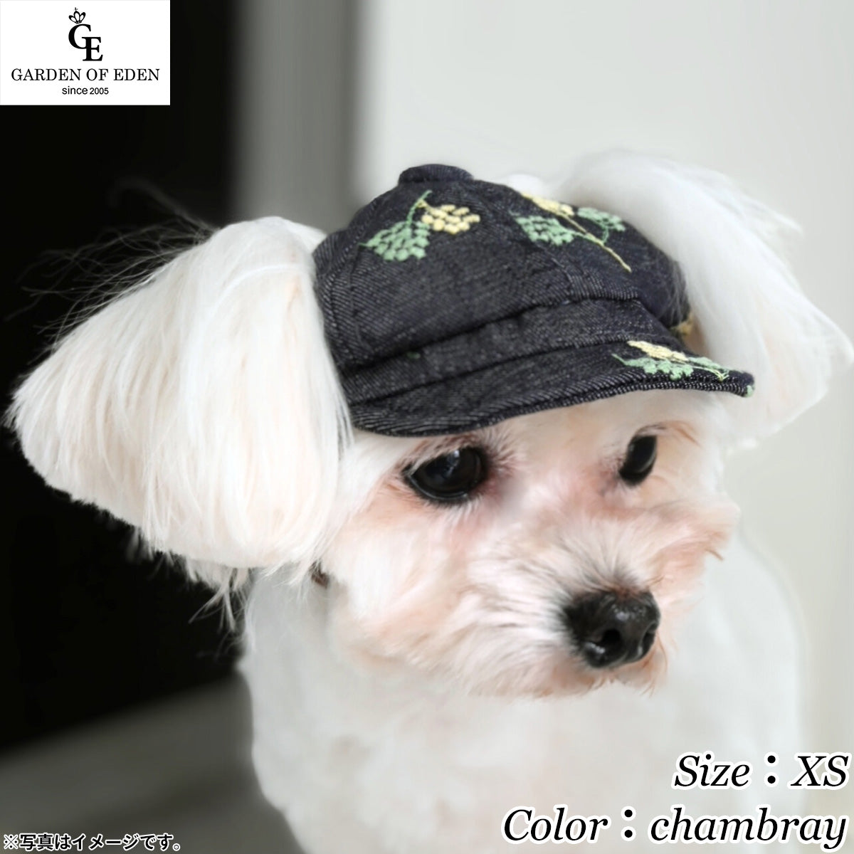 犬の帽子 ガーデンオブエデン シャンブレーキャスケット XS chambray