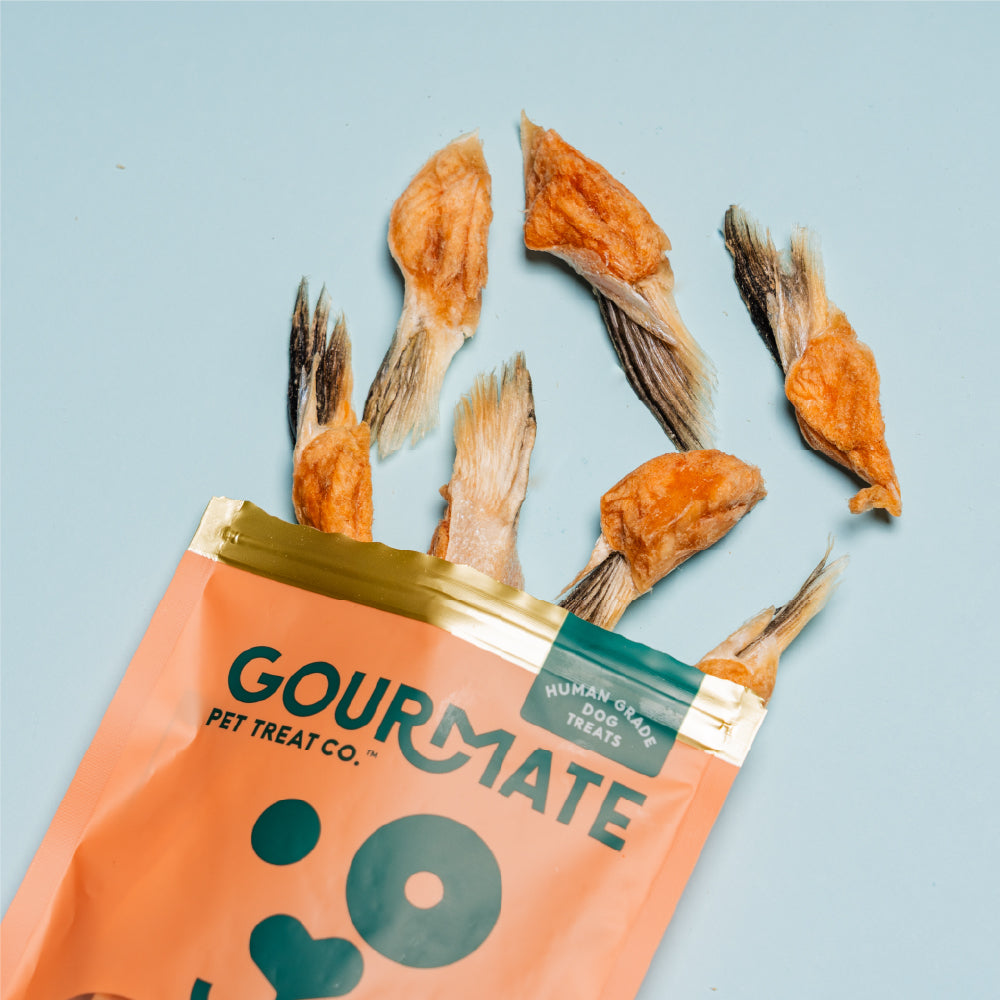 GOURMATE グルメイト トリーツ アルパインサーモン 犬猫用おやつ 100g×12個