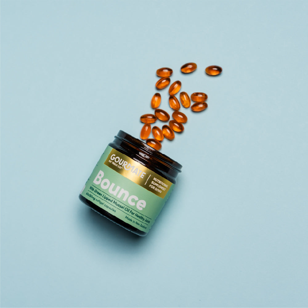 GOURMATE グルメイト 犬猫用サプリメント バウンス関節脳機能サポート ソフトカプセル (150mg×60カプセル)×12個