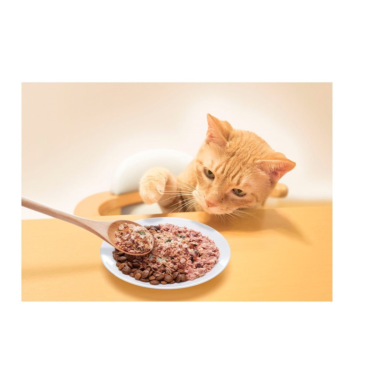 はごろもフーズ 猫ちゃん用ふりかけ ねこふり 煮干し味 15g×48個
