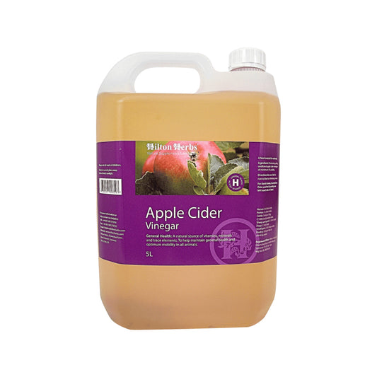 ヒルトンハーブ アップルサイダービネガー 5L 送料無料