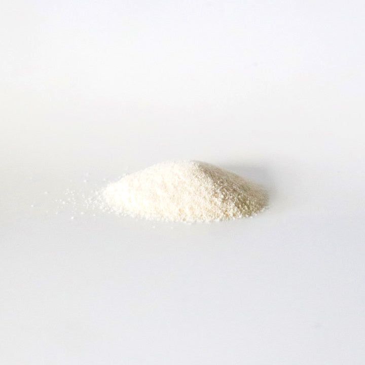 H&J・I・N 乳酸菌エイチジングリーンEX 動物用 HJ1濃縮乳酸菌食品 225g