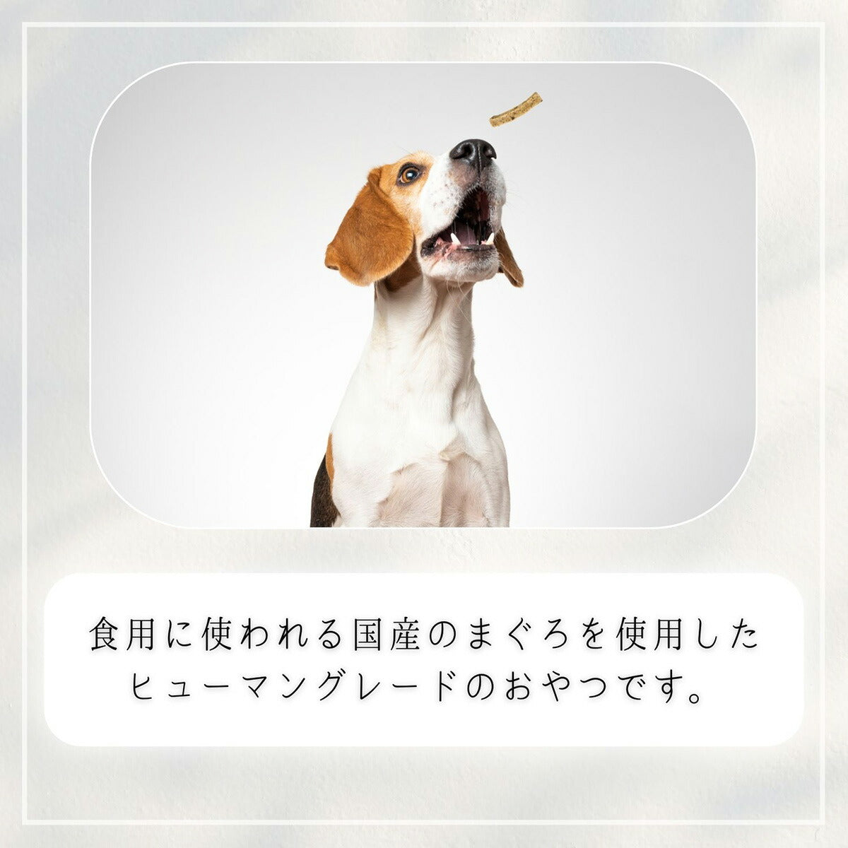 HappyDays 国産まぐろスティック 犬用 60g 無添加 犬用おやつ