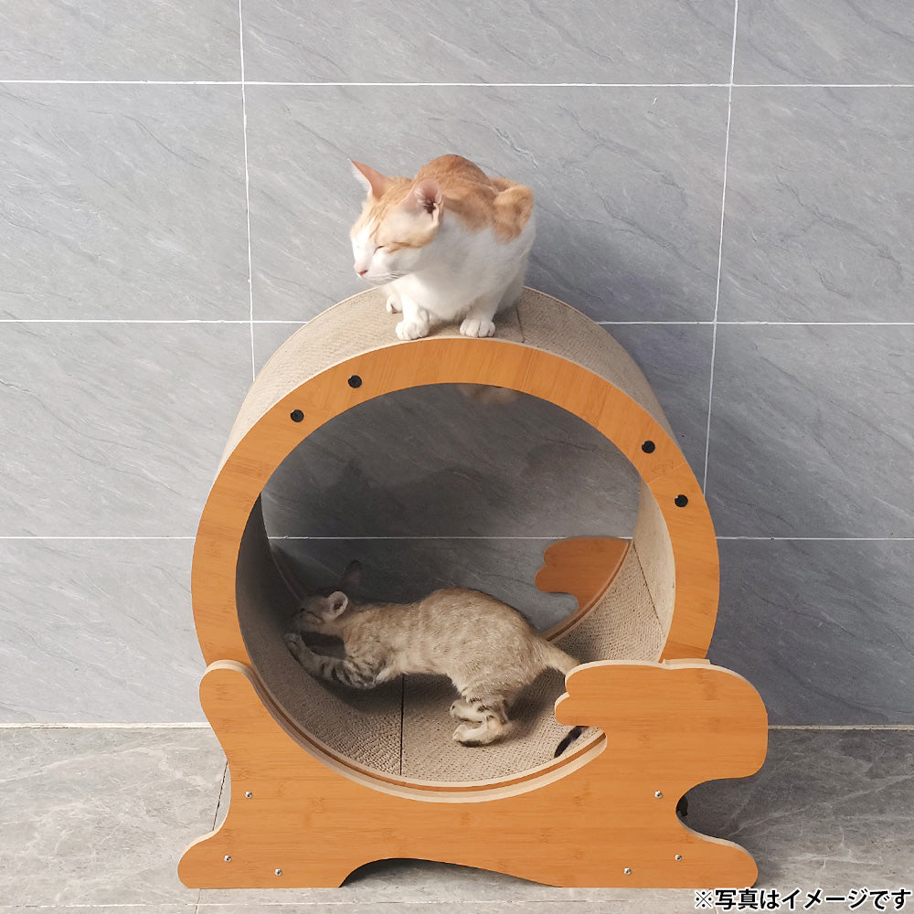 ハッピーデイズ HappyDays キャットランニングマシン S
