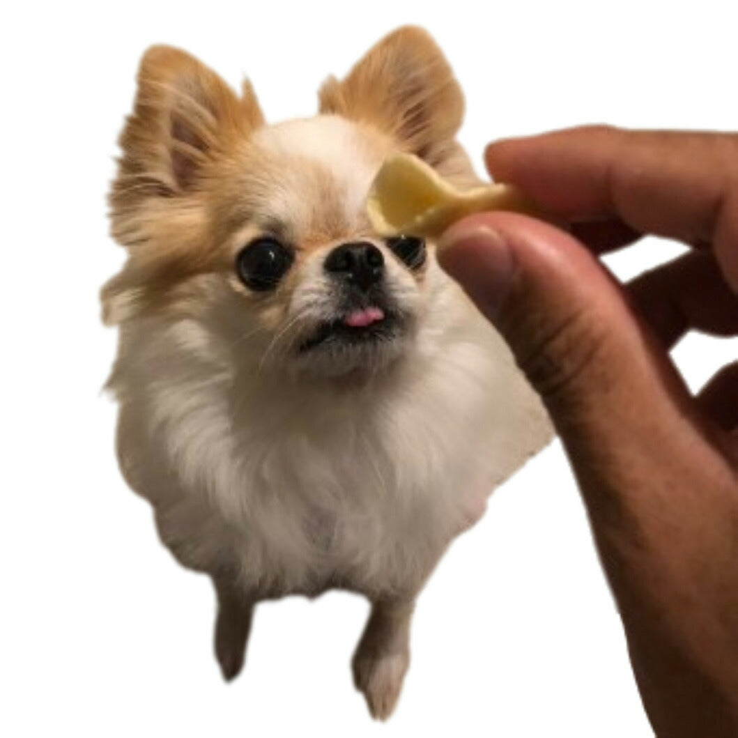 一口笑 たまごチップス 30g