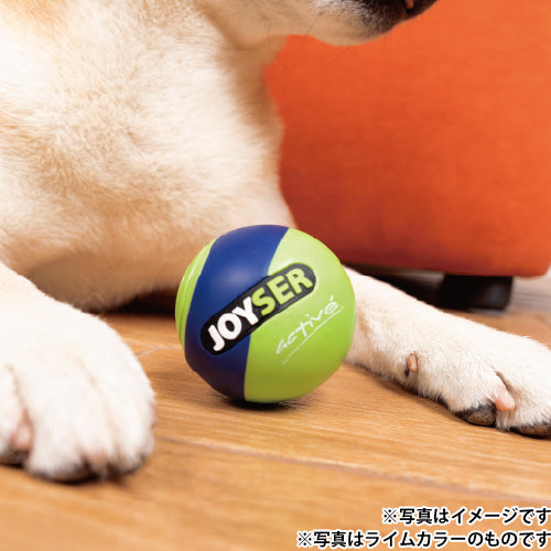 ジョイサー JOYSER ジョイサーボール 犬用おもちゃ ブルー