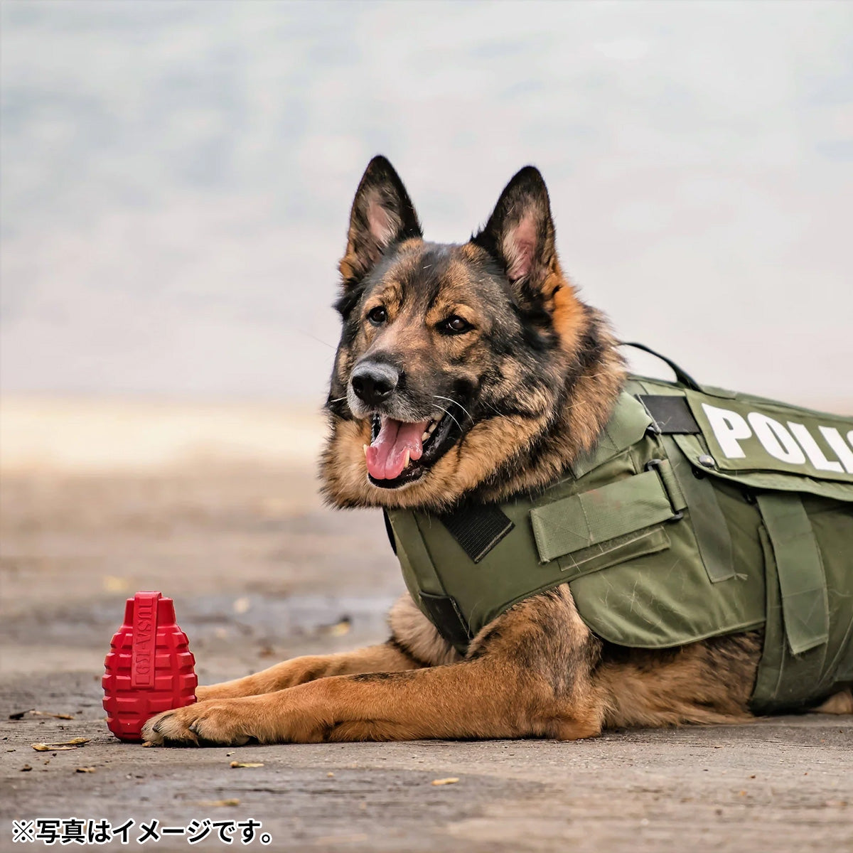 ソダパップ チュートイ&トリートディスペンサー USA-K9 パピー グレネード L ピンク【送料無料】