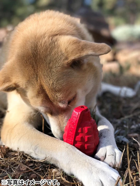 ソダパップ チュートイ&トリートディスペンサー USA-K9 パピー グレネード L ピンク【送料無料】