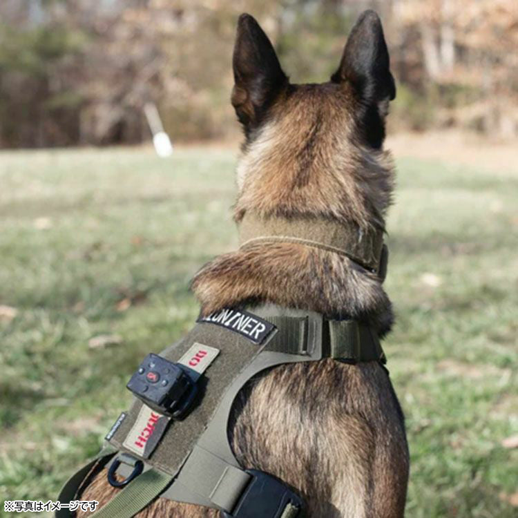 KILONINER キロナイナー 2023モデル M1 Light Speed Harness M1 ライトスピード ハーネス L Pink/Wolf Grey【送料無料】