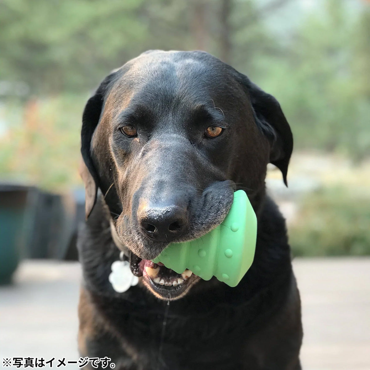 ソダパップ チュートイ&トリートディスペンサー MKB ラバートイ クリスマスツリー グリーン L【送料無料】