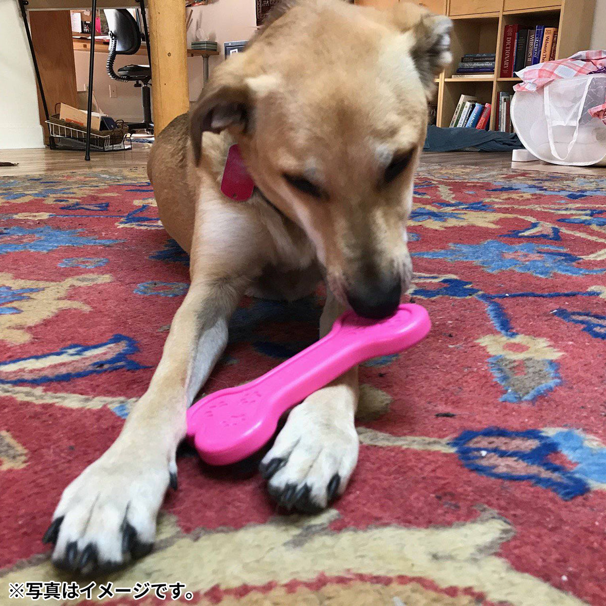 ソダパップ MKB ナイロントイ ボーン ピンク