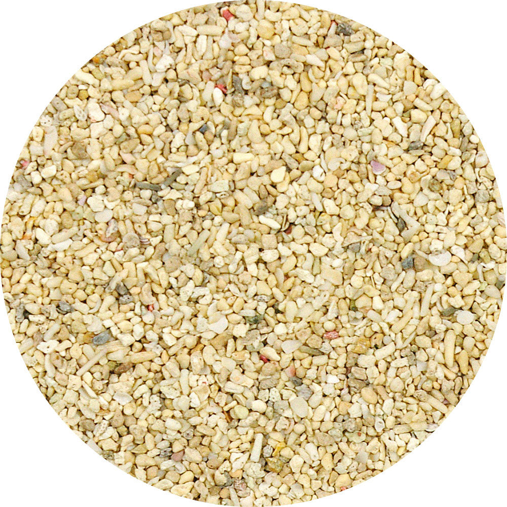 マルカン ヤドカリのリラックスサンド 800g×12個セット