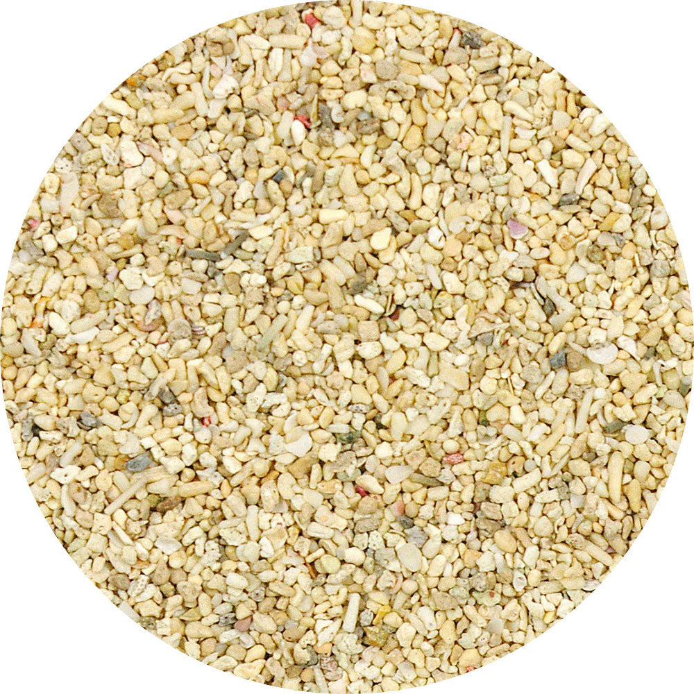 マルカン ヤドカリのリラックスサンド お徳用 2.5kg×5個セット
