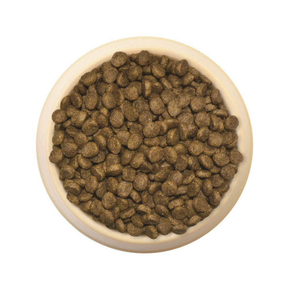 森乳サンワールド スーパーゴールド ドッグフード おなかラボ 子犬用 7.5kg【送料無料】 無添加 乳酸菌 ラクトフェリン