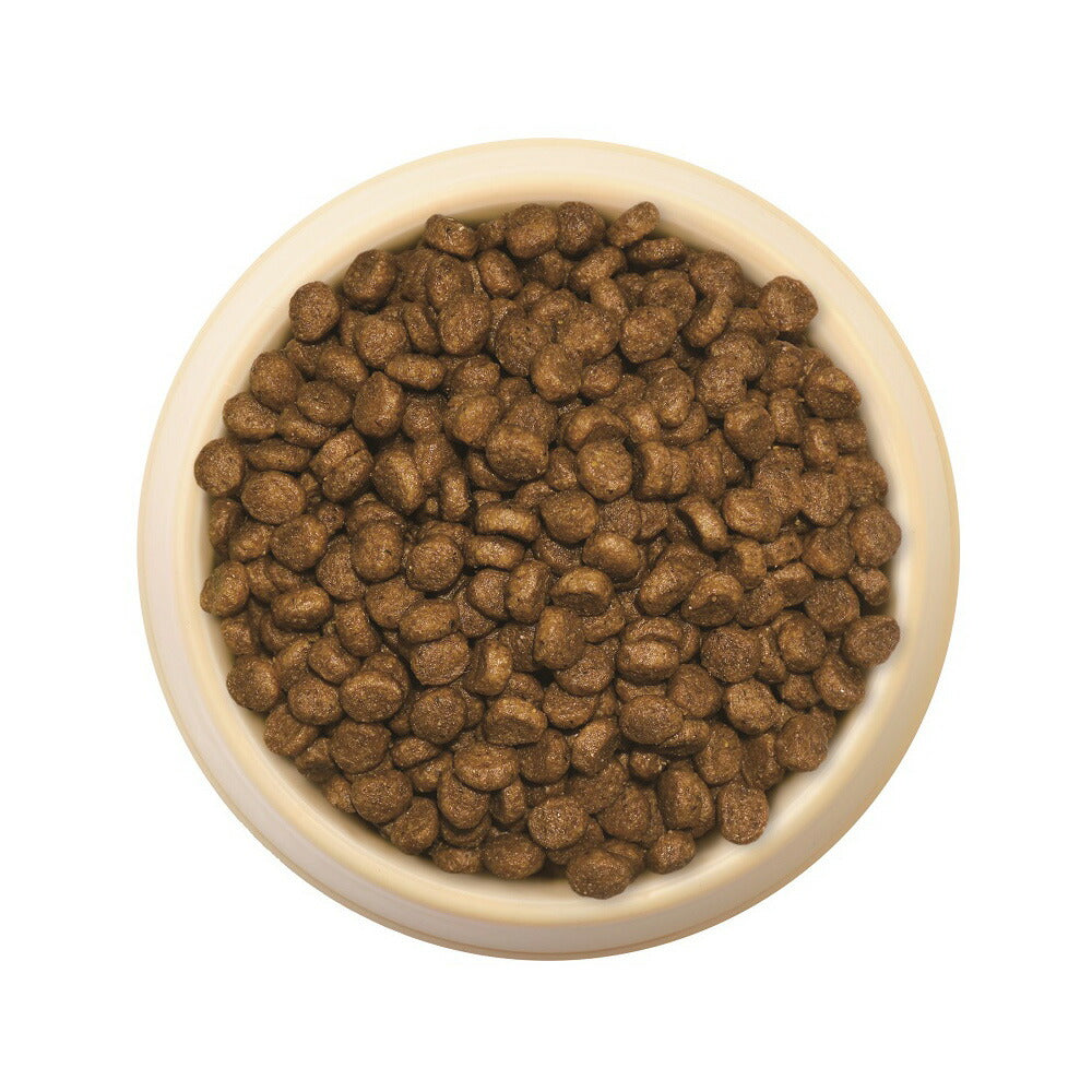 森乳サンワールド スーパーゴールド ドッグフード おなかラボ 成犬用 2.4kg【送料無料】 無添加 乳酸菌 ラクトフェリン
