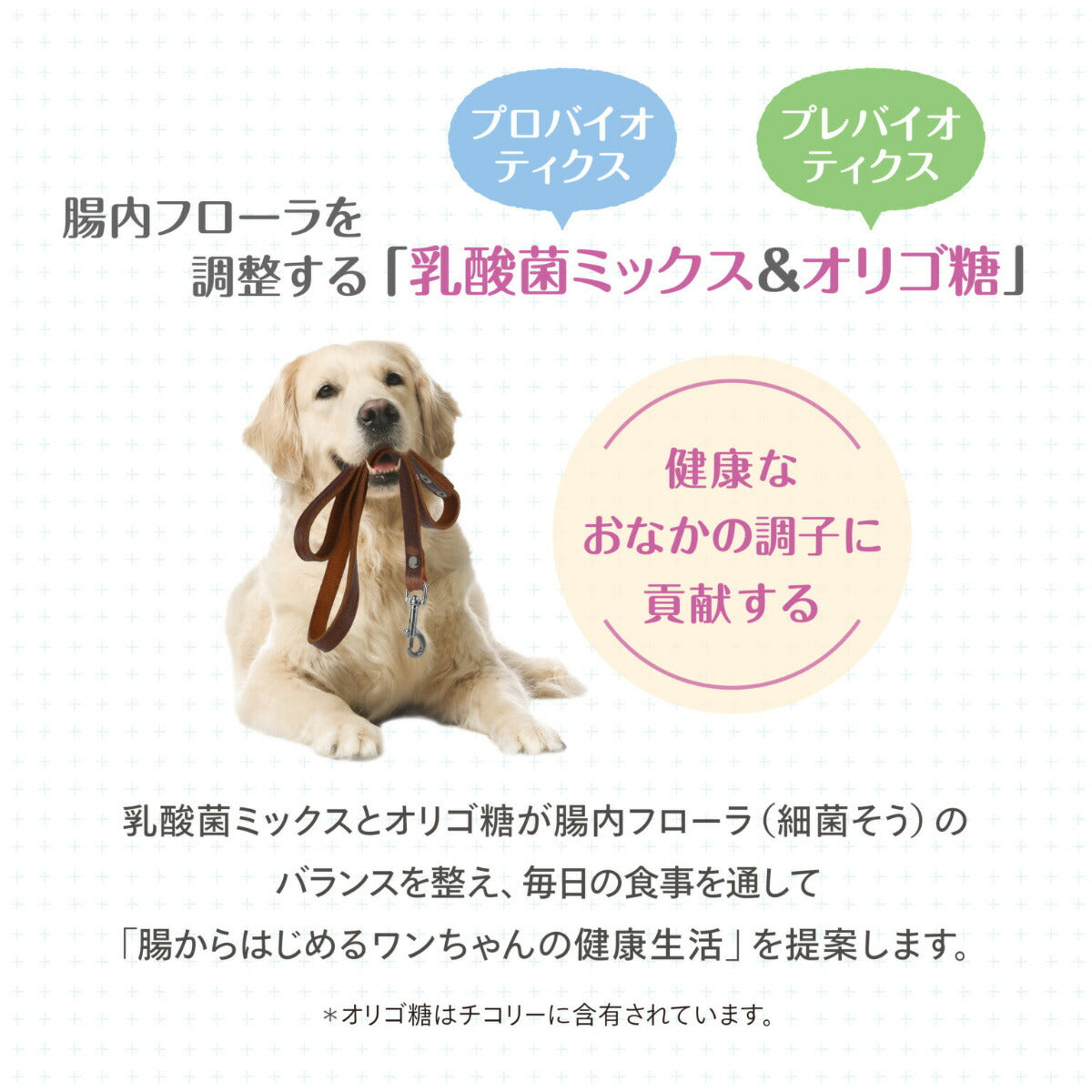 森乳サンワールド スーパーゴールド ドッグフード おなかラボ 成犬用 14.5kg×10個セット