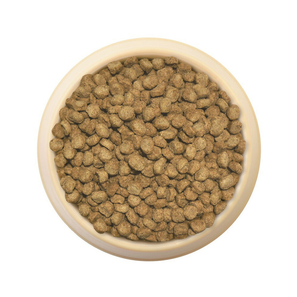 森乳サンワールド スーパーゴールド ドッグフード おなかラボ シニア犬用 7.5kg【送料無料】 無添加 乳酸菌 ラクトフェリン