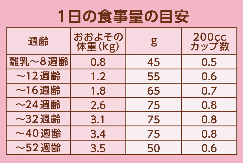 ニュートロ Nutro ナチュラルチョイス Natural Choice キャットフード 室内で暮らす子猫用 チキン キトン 400g×10袋 無添加 天然 ナチュラルフード