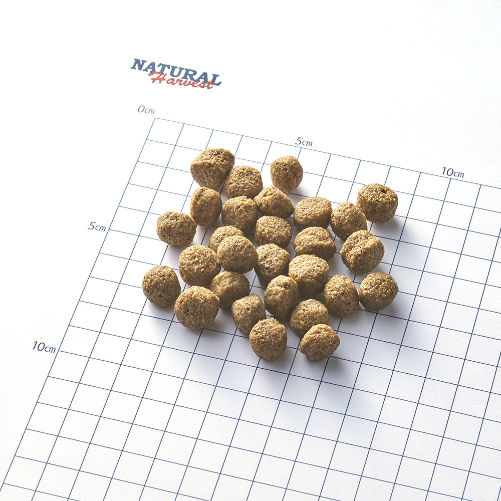 ナチュラルハーベスト ドッグフード メンテナンス ラム 50g×30袋セット【送料無料】