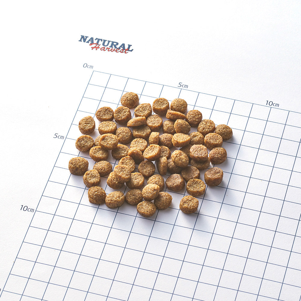 ナチュラルハーベスト ドッグフード フラックス 結石ケア用食事療法食 1.1kg×6袋セット【送料無料】