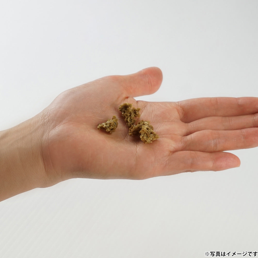 ナチュラルハーベスト NaturalHarvest 国産 北海道クリスプ カレイ 犬用おやつ 20g