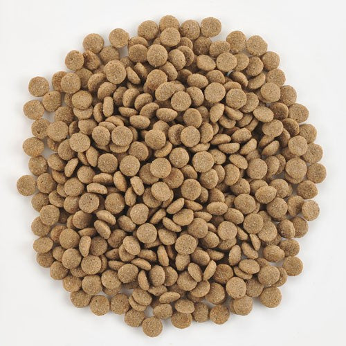 ナチュラルハーベスト ドッグフード メンテナンス スモール ラム 成犬~シニア犬用 中粒 6kg【送料無料】