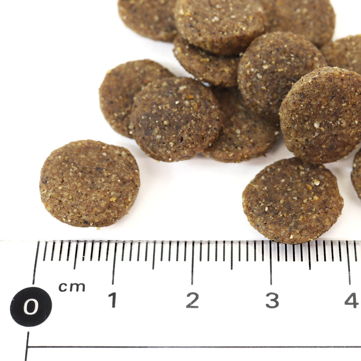 ナチュラルナース ドッグフード NATURAL NURSE 2.4kg 送料無料