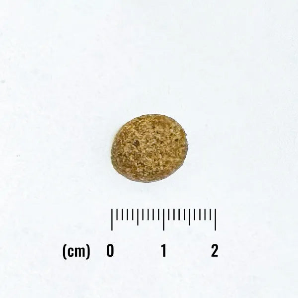 ナチュラルバランス ドッグフード オリジナルウルトラ 成犬用 チキン&サーモン 低カロリー 800g×12個セット