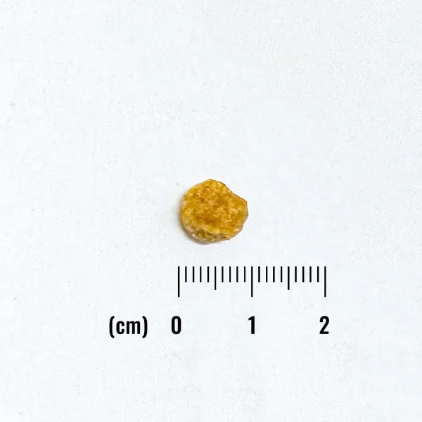 ナチュラルバランス ドッグフード LID 成犬用 ベジタリアンレシピ 小粒サイズ 2kg×6個セット