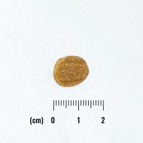 ナチュラルバランス ドッグフード LID グレインフリー 成犬用 ダック&ポテト 2kg×6個セット