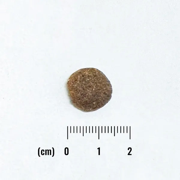 ナチュラルバランス ドッグフード LID グレインフリー 成犬用 スイートポテト&バイソン 2kg×6個セット