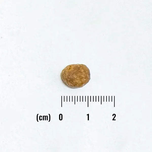 ナチュラルバランス キャットフード LID グレインフリー 成猫用 サーモン&グリーンピース 1.8kg