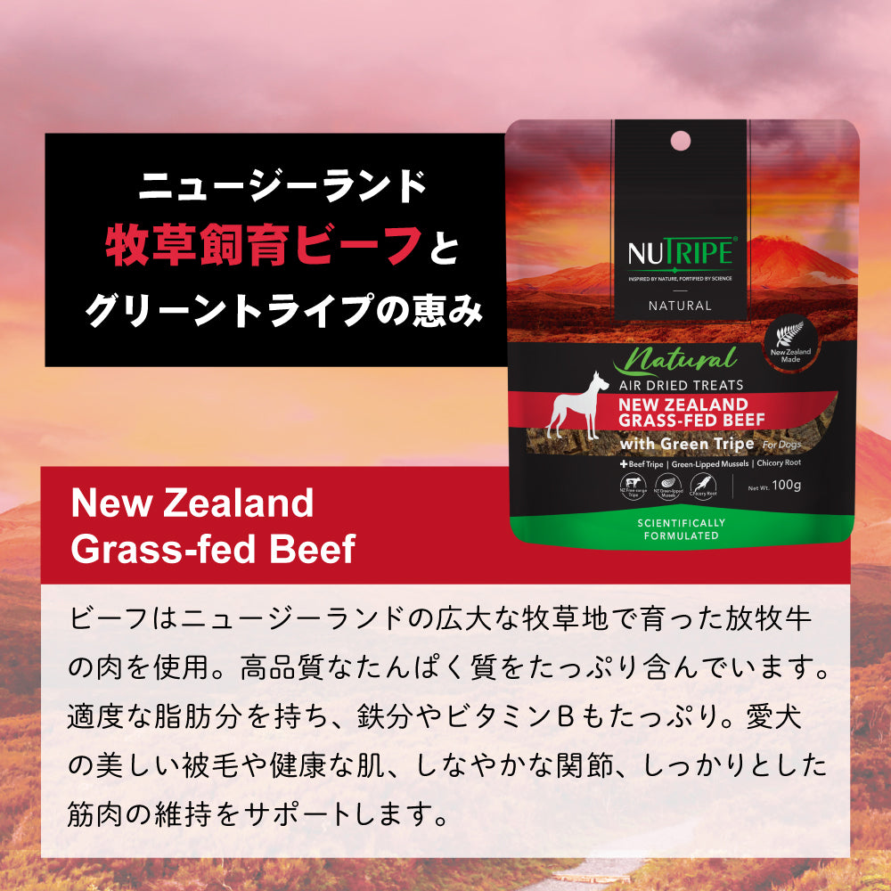 ニュートライプ NUTRIPE ナチュラル エアードライ トリーツ ビーフwithグリーントライプ 100g×15個