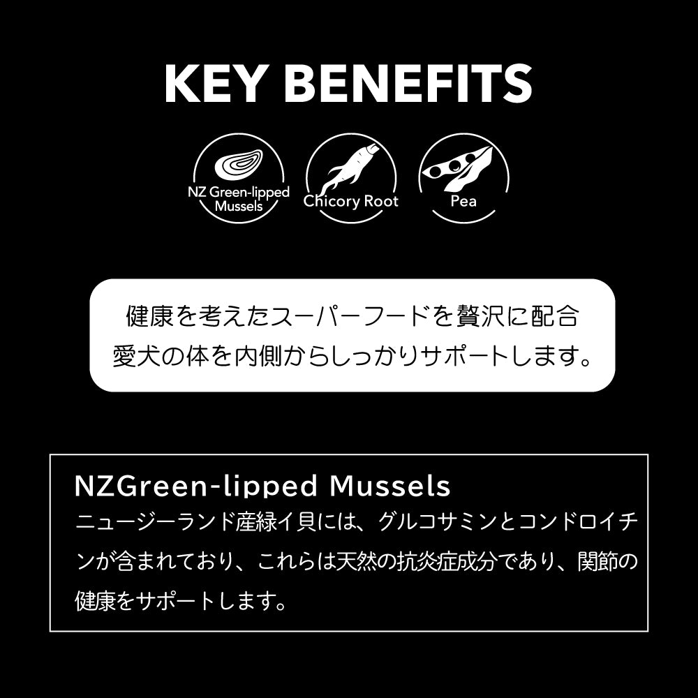 ニュートライプ NUTRIPE ナチュラル エアードライ トリーツ ビーフwithグリーントライプ 100g×15個