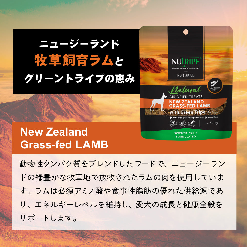 ニュートライプ NUTRIPE ナチュラル エアードライ トリーツ ラムwithグリーントライプ 100g
