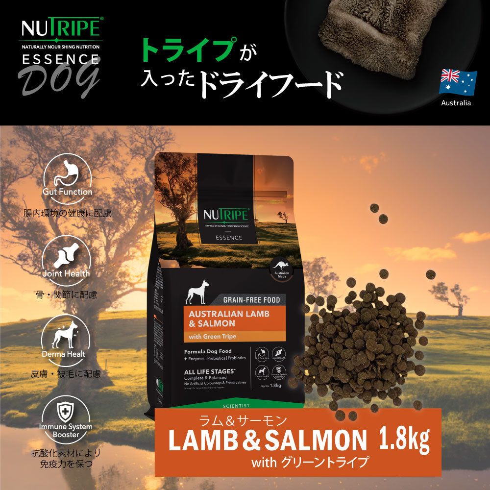 ニュートライプ GFドライ ドッグ ラム&サーモン with グリーントライプ 1.8kg×6個セット