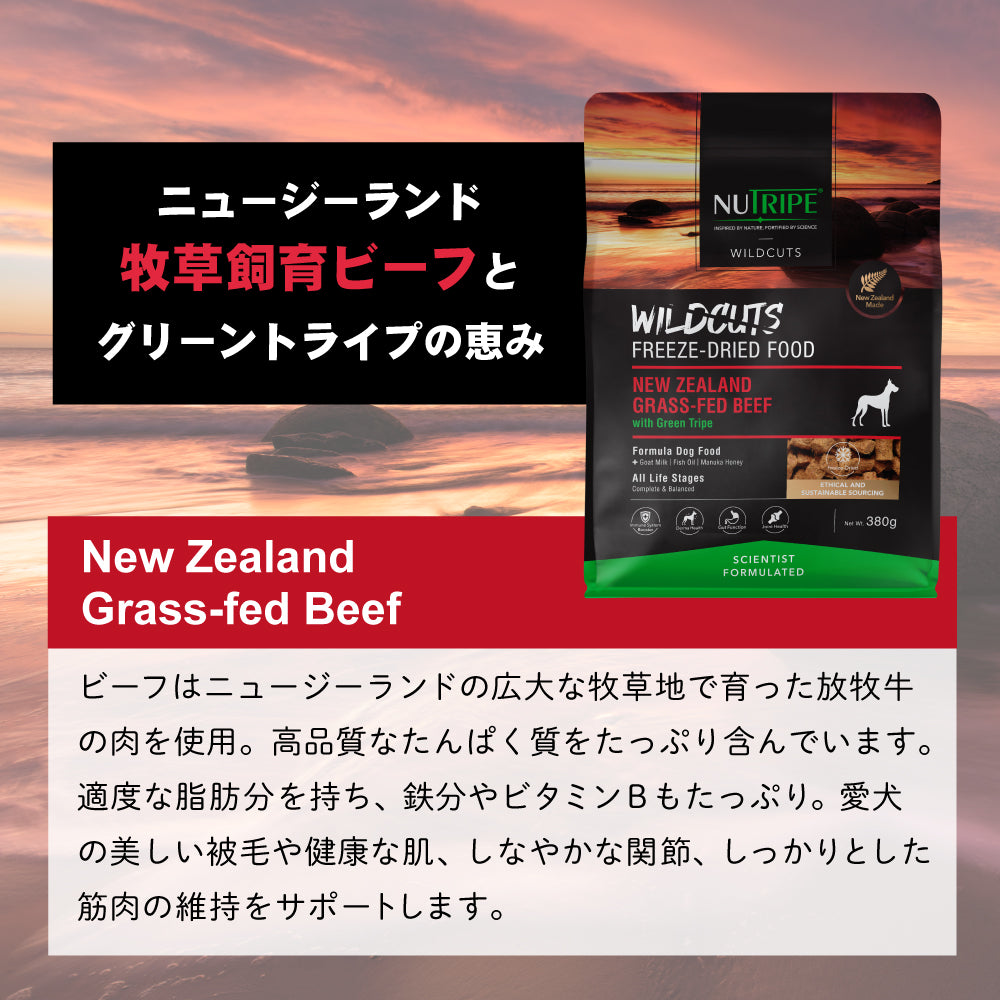 ニュートライプ NUTRIPE ドッグフード ワイルドカット フリーズドライ ビーフwithグリーントライプ 15g