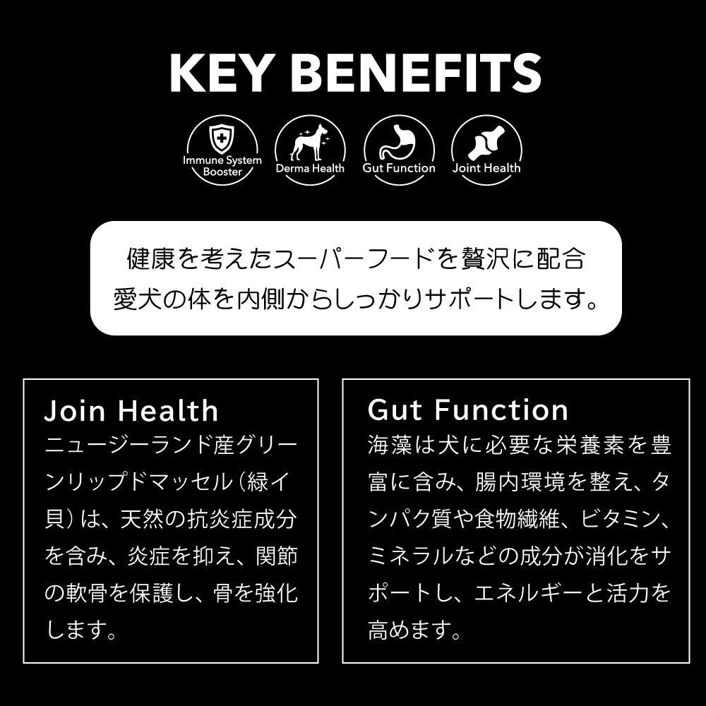 ニュートライプ NUTRIPE ドッグフード ワイルドカット フリーズドライ キングサーモン&ラムwithグリーントライプ 380g