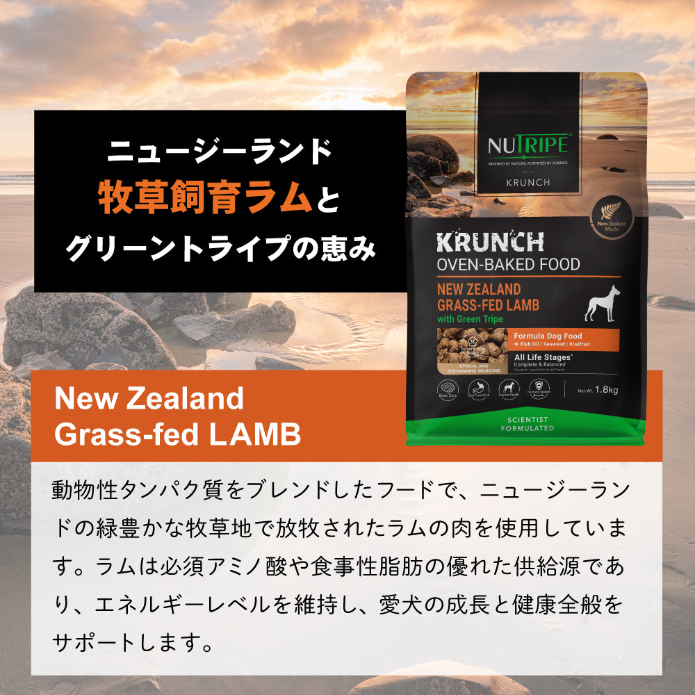 ニュートライプ NUTRIPE ドッグフード クランチ オーブンベークド ラムwithグリーントライプ 7kg