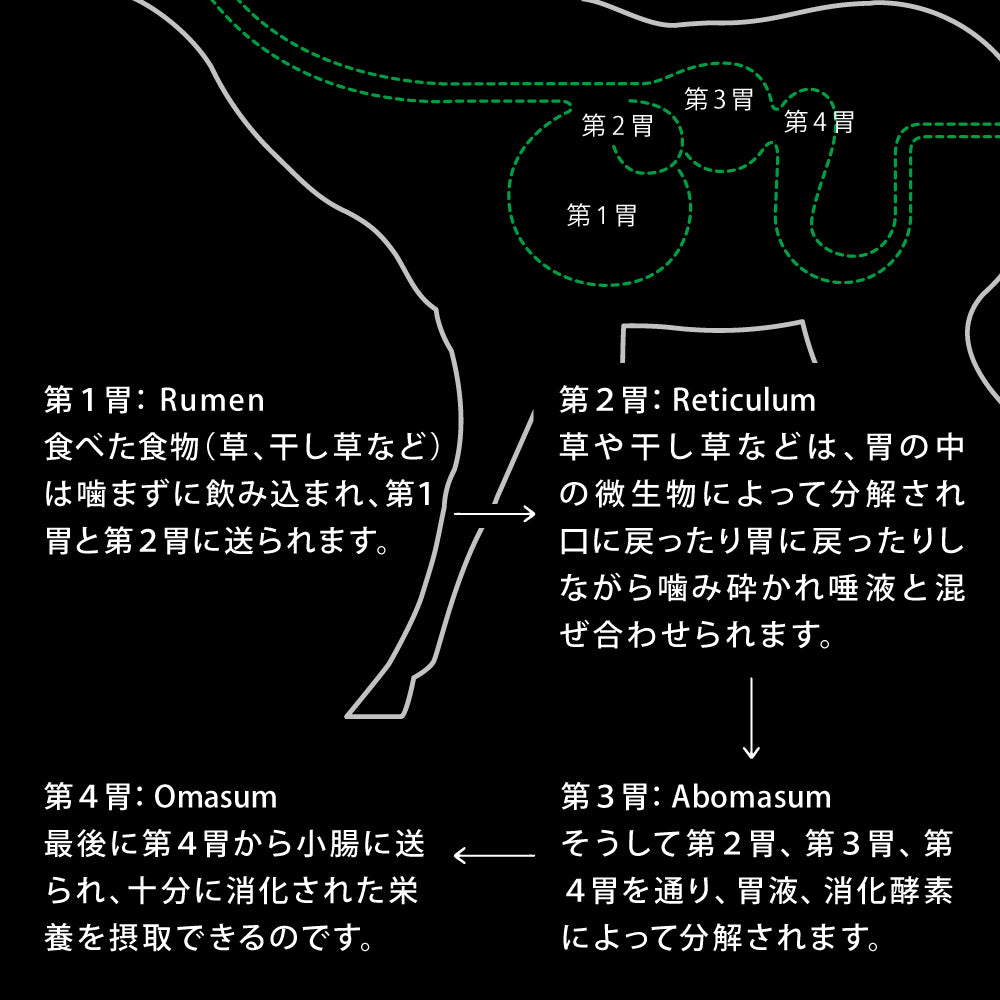 ニュートライプ NUTRIPE ドッグフード クランチ オーブンベークド ビーフwithグリーントライプ 1.8kg×6個