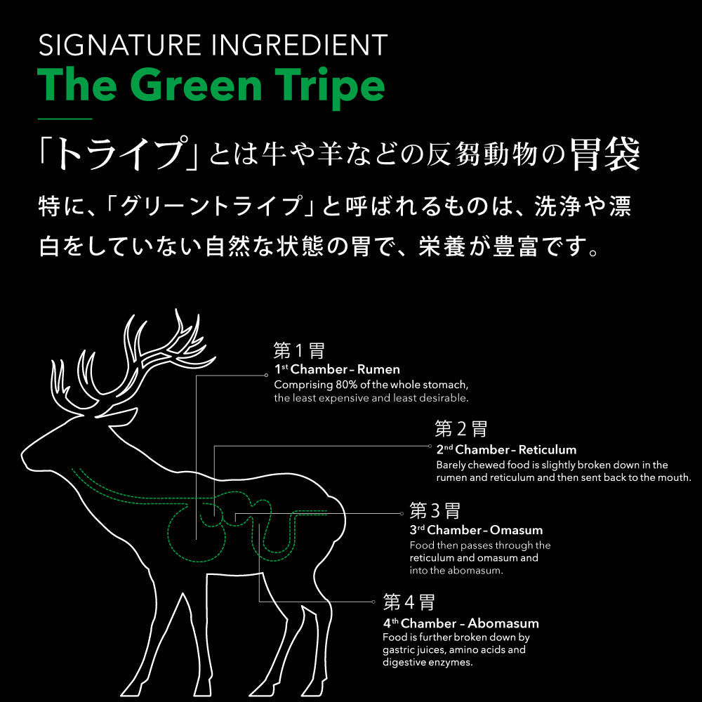 ニュートライプ NUTRIPE ドッグフード クランチ オーブンベークド キングサーモン&ツナwithグリーントライプ 30g×120個