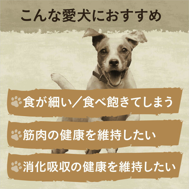 ニュートロ ワイルド レシピ 超小型犬~小型犬用 子犬用 ターキー 4kg(ドッグフード 穀物フリー グレインフリー 無添加 犬)