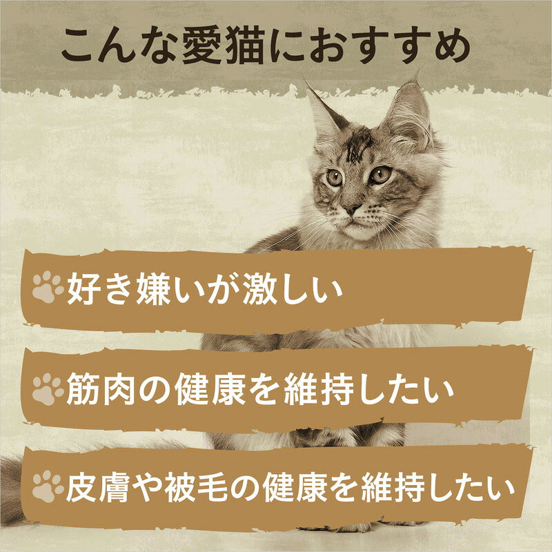 ニュートロ キャットフード ワイルドレシピ アダルト サーモン 成猫用 2kg 穀物フリー グレインフリー 無添加 ナチュラル猫用