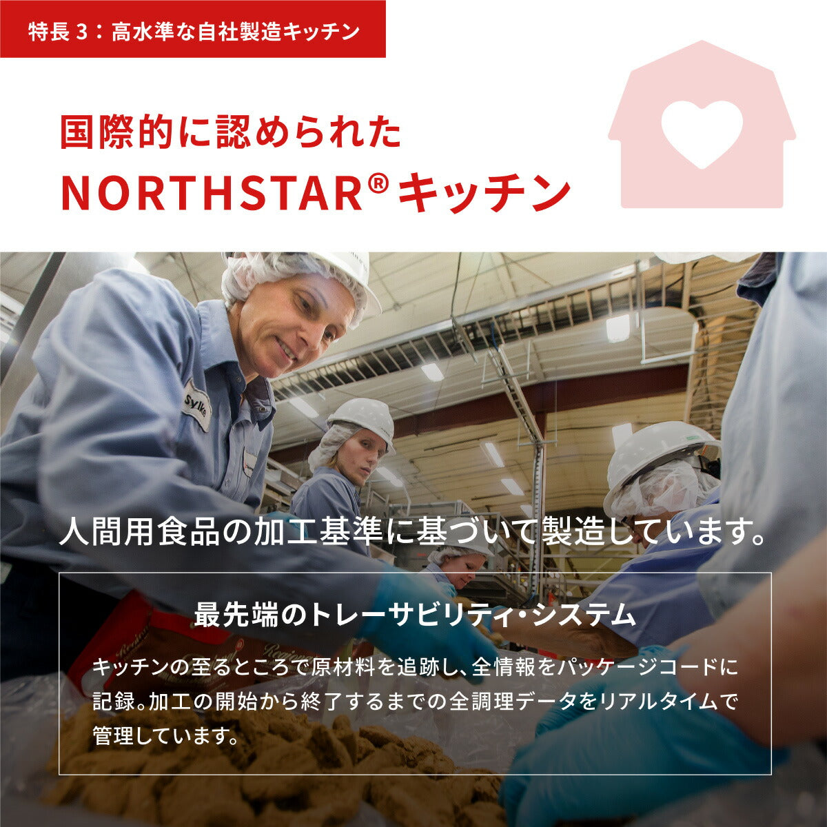 オリジン Orijen キャットフード キトゥン 全猫種 子猫用 穀物不使用 1.8kg×8個セット