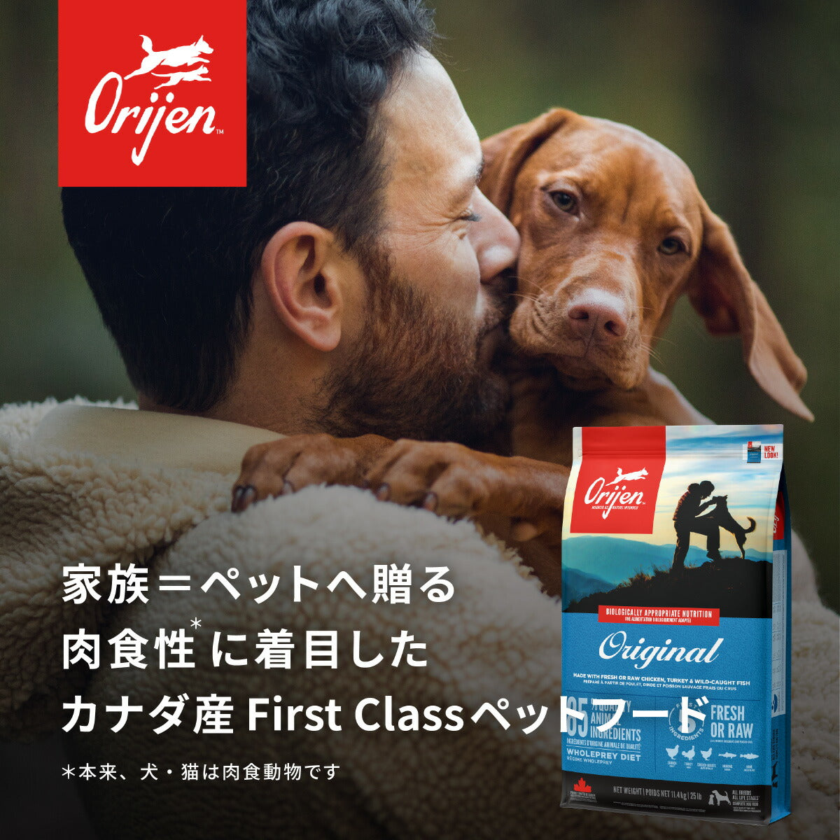 オリジン Orijen キャットフード キトゥン 全猫種 子猫用 穀物不使用 1.8kg×8個セット