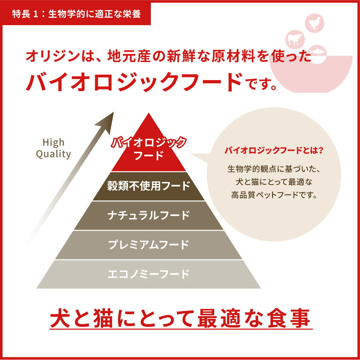 オリジン Orijen キャットフード キトゥン 全猫種 子猫用 穀物不使用 1.8kg×8個セット