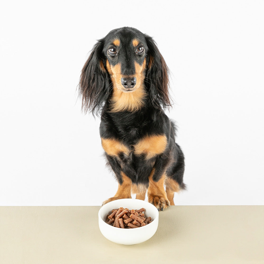 Happy Days Olive Pet セミモイストドッグフード オッティモ 成犬用 100g(グルテンフリー セミモイスト 総合栄養食)